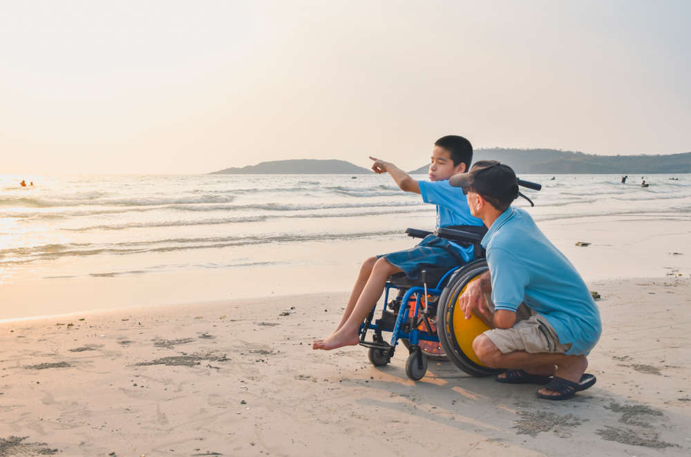 a male child on beach in wheelchair pointing to something in the sea to a male adult who is with them